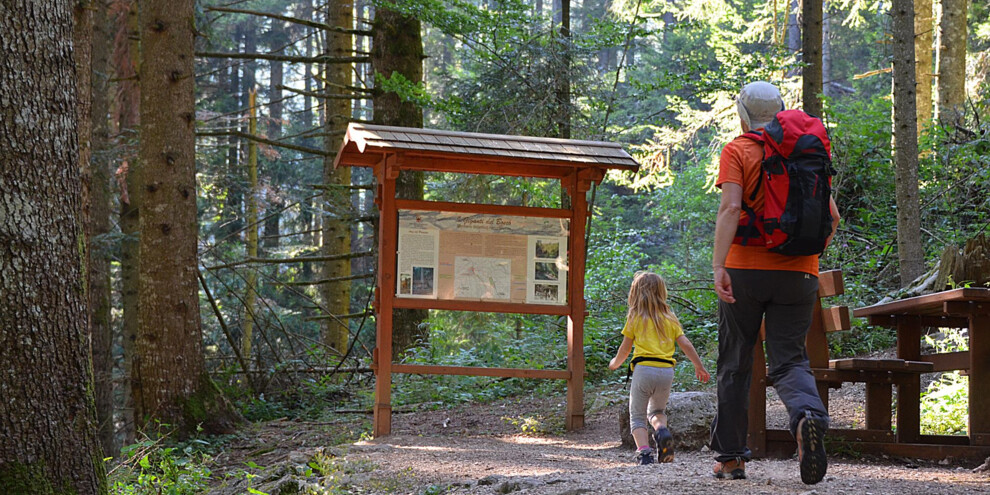 Alpe_Cimbra_I_Giganti_del_Bosco | © Alpe_Cimbra_I_Giganti_del_Bosco