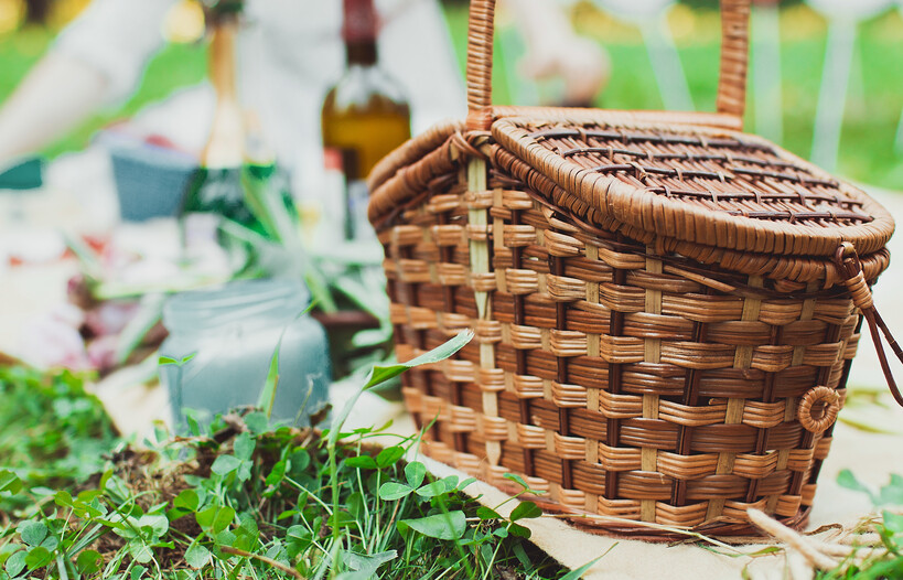 Alles über das Picknick am Gardasee