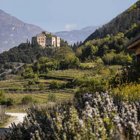 Spring holidays in the Alps