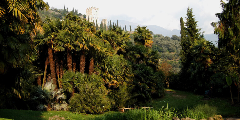 Visit the Arboretum of the Archducal Park