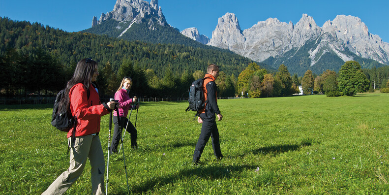  Val Canali  #2 | © 21449 Val Canali photo Giovanni Cavulli