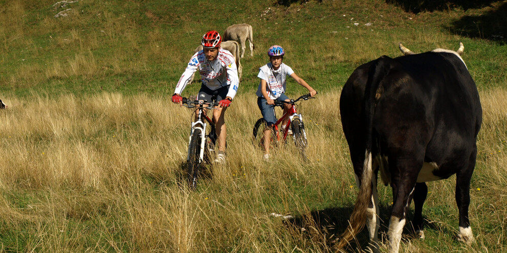 Sulla vetta del monte Vignola