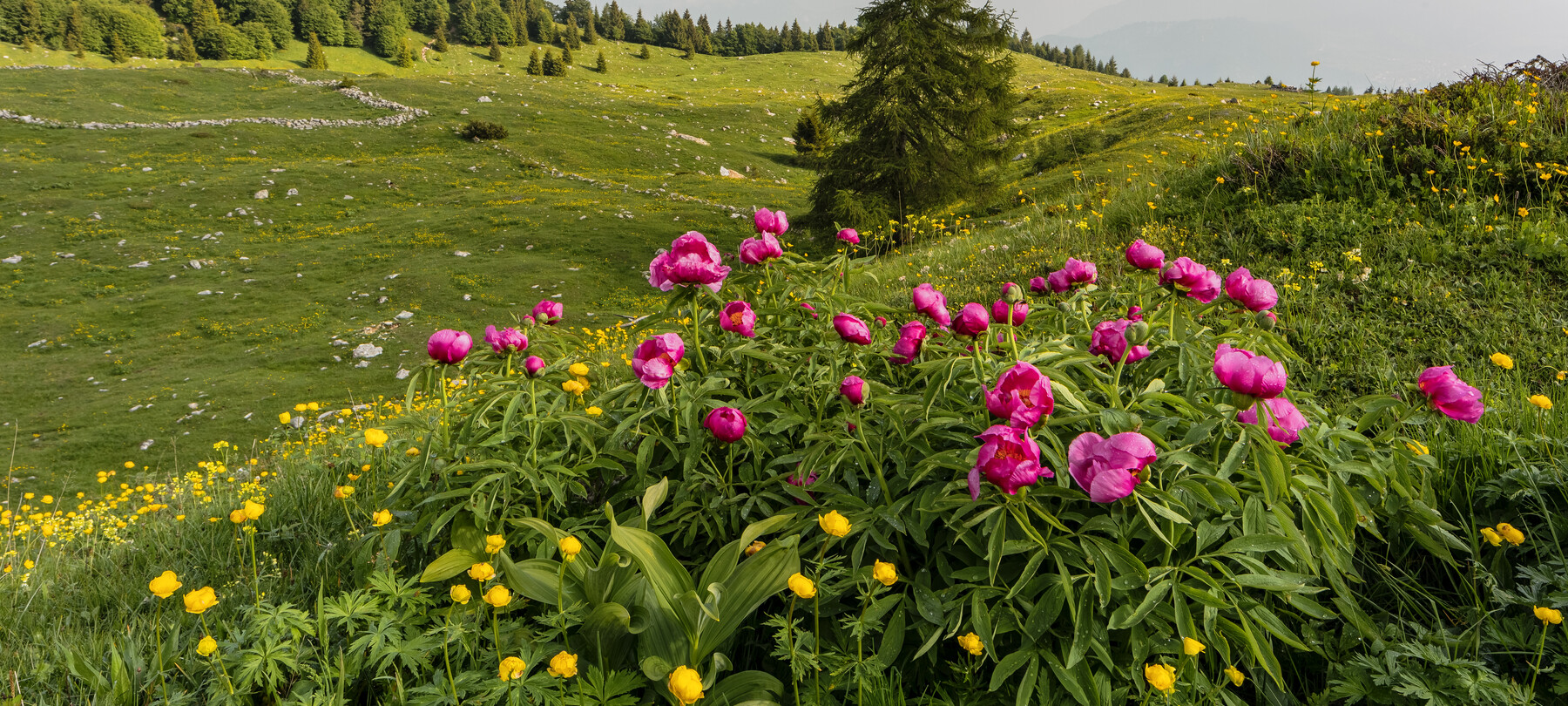 What to do in Rovereto and Vallagarina in spring