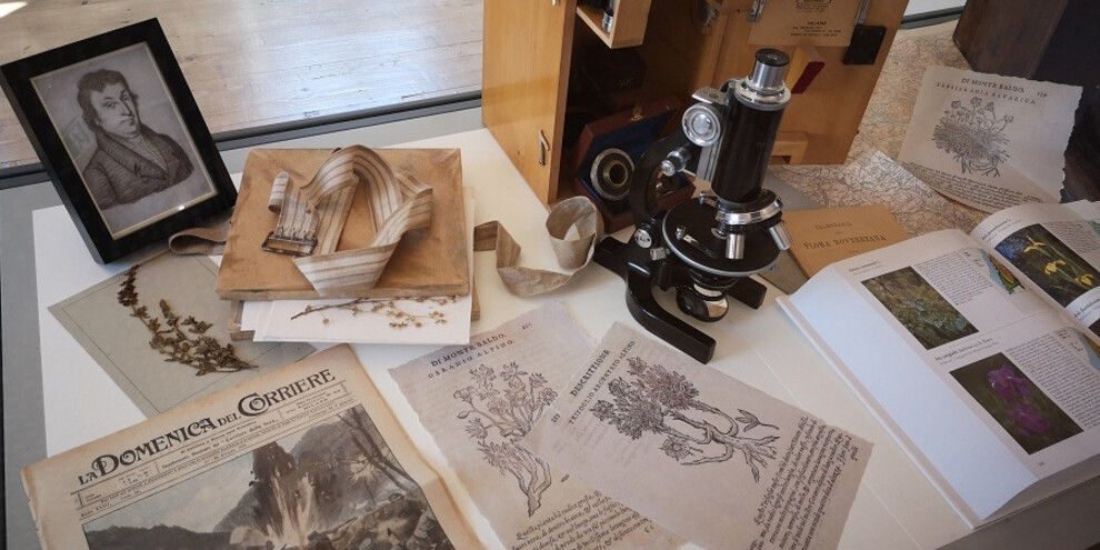 Het museum van de stad Rovereto