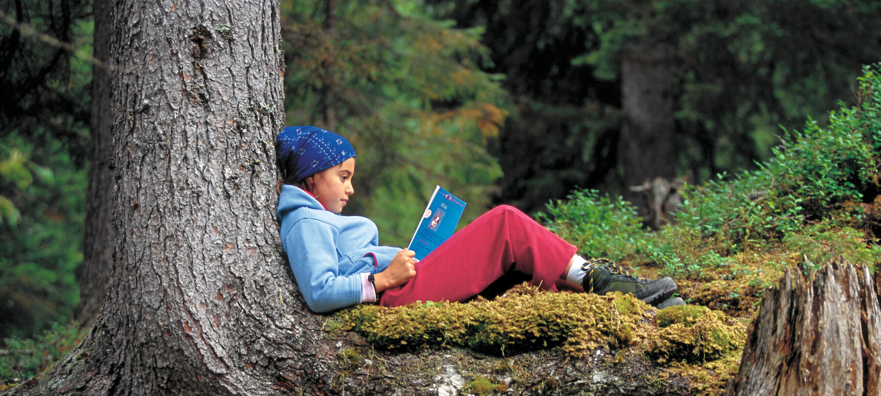 Legends of the Dolomites: Salváns, Vivanas and Bregostane