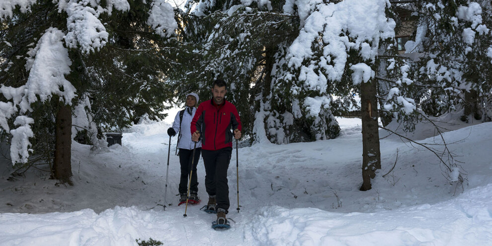 ПРОГУЛКИ НА СНЕГОСТУПАХ, ВАЛЬ-ДИ-НОН