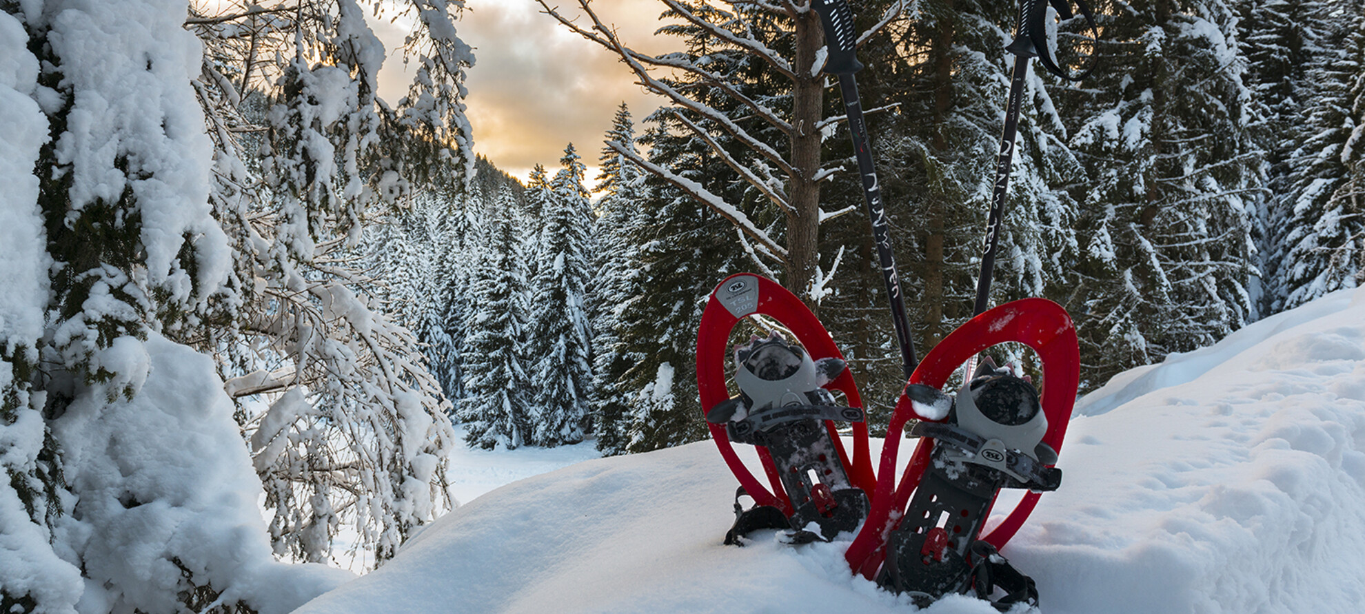 Снежный отдых для всех