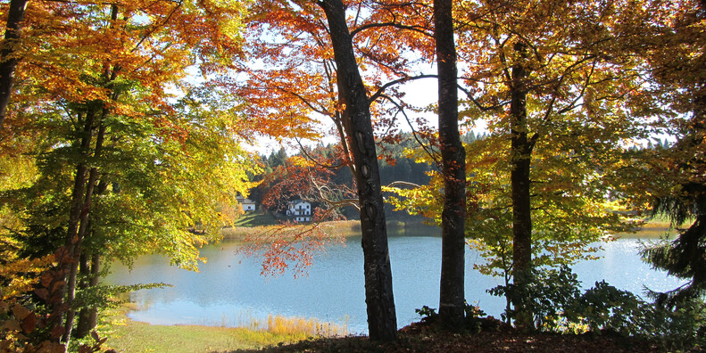 Santo di Cembra Lake #5 | © Lago Santo - APT Piné Cembra - ph. Annamaria Pascali