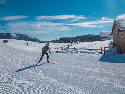 Sci nordico Passo Coe | © marco gober