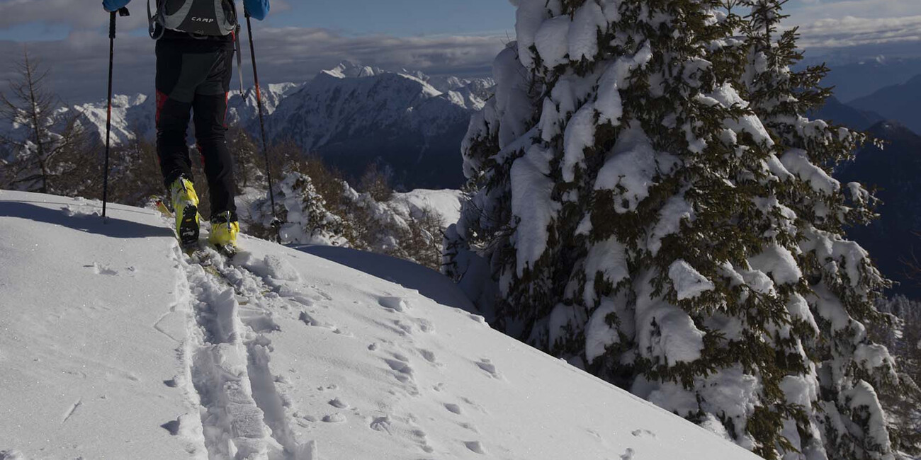 Altopiano di Boniprati  #2 | © Valle del Chiese - Scialpinismo Altopiano di Boniprati