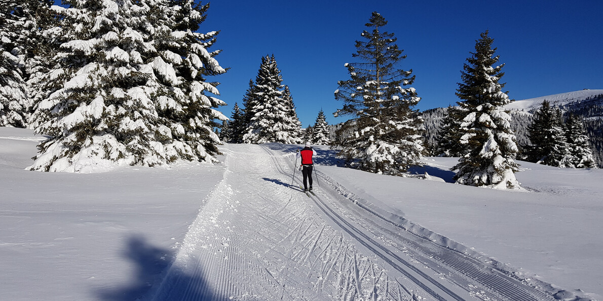 6 Top Nordic ski centers in Trentino