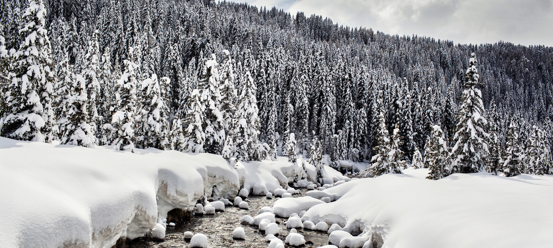 Warum ist der Schnee so weiß?