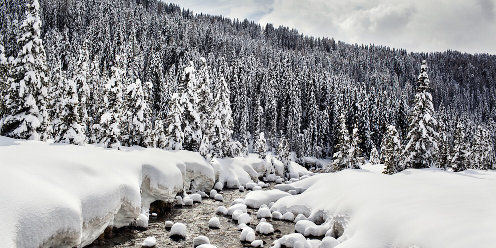 4 Dinge über den Schnee, die Sie vielleicht nicht wussten