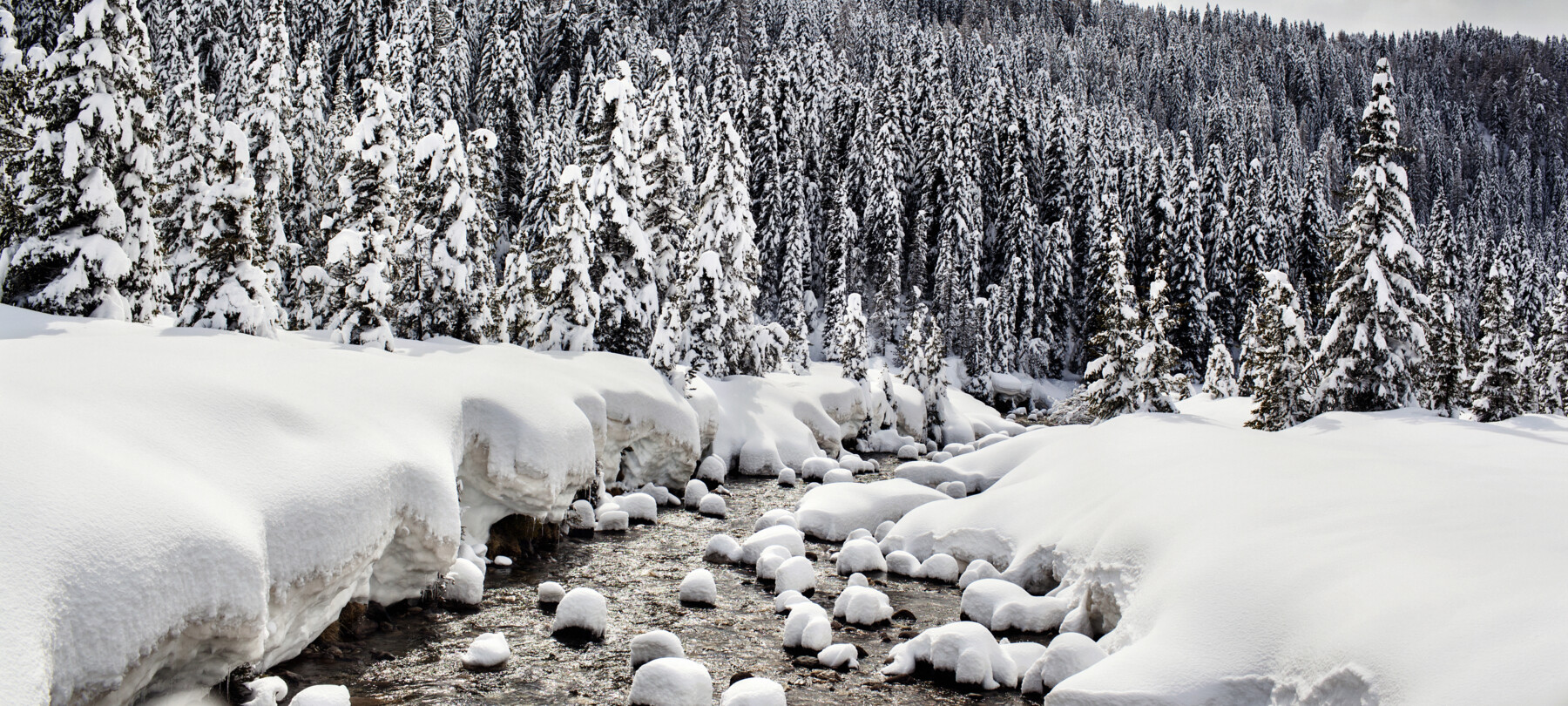 What are the sounds of the woods in the Dolomites in winter?