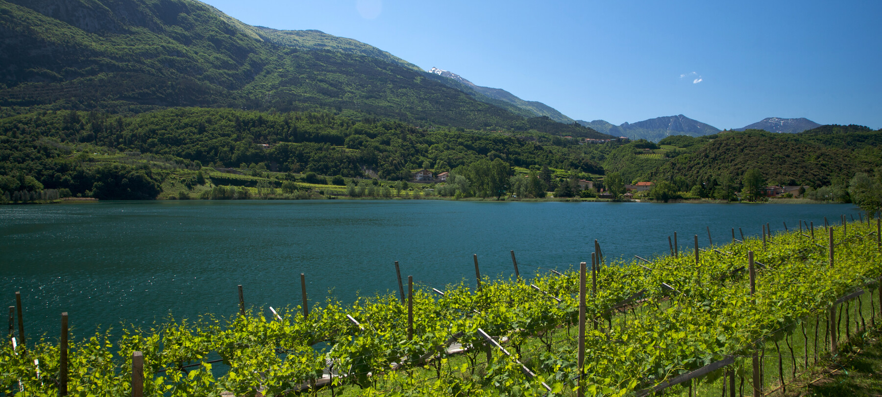 Il Vino Santo: il passito dei passiti