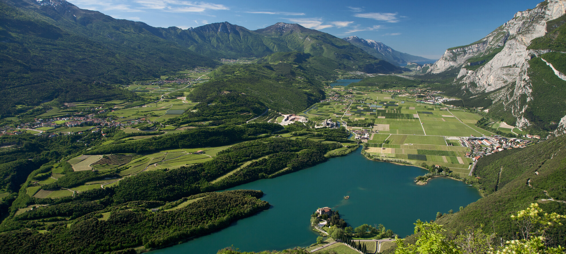 Harvest after harvest