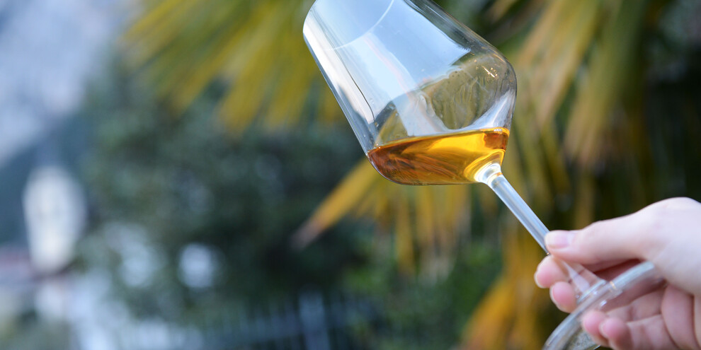 DiVinNosiola, voor Wine Lovers