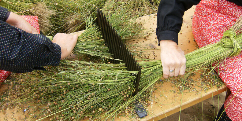 Ecomuseo della Val di Peio ‘Piccolo Mondo alpino’ #5 | © Foto Archivio Apt Val di Sole