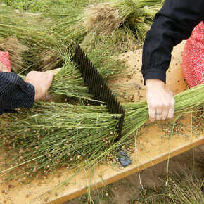 Ecomuseo della Val di Peio | © Foto Archivio Apt Val di Sole