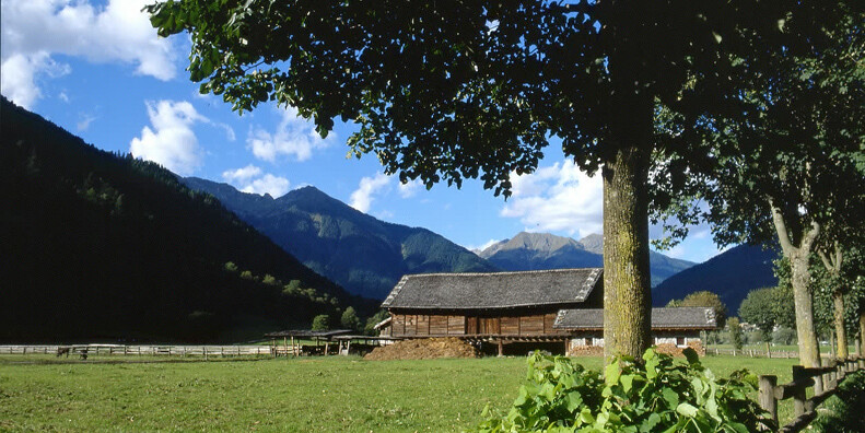 Maso Curio " Ca da mont " #2