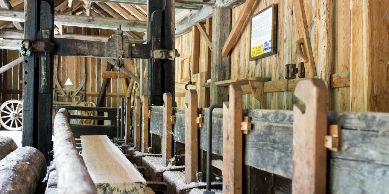 Braghjie and dei Begoi Sawmills #7 | © Foto Archivio Apt Val di Sole