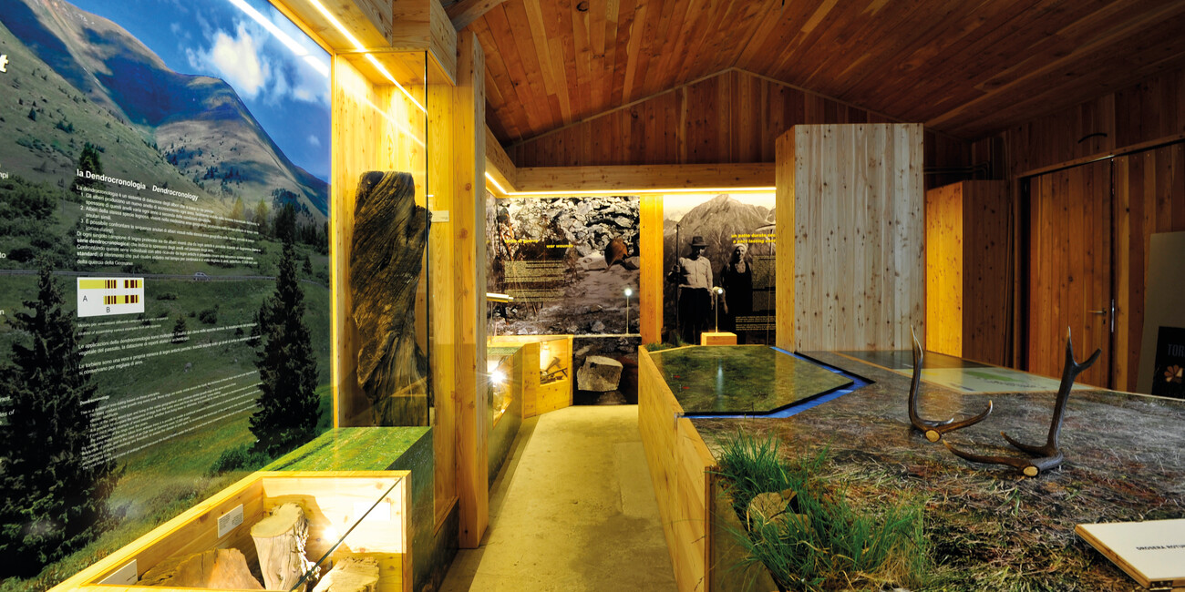 Torfmoor Tonale #1 | © Torbiera del Tonale - Foto Archivio Apt Val di Sole