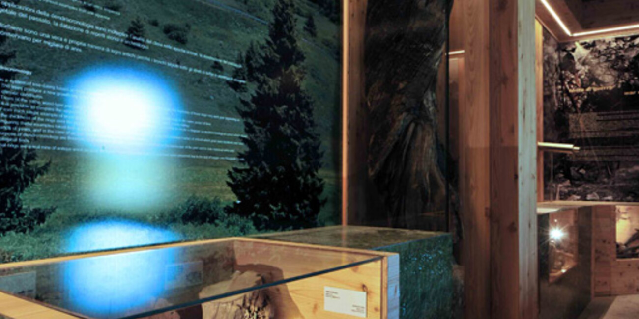 Torfmoor Tonale #2 | © Torbiera del Tonale - Foto Archivio Apt Val di Sole