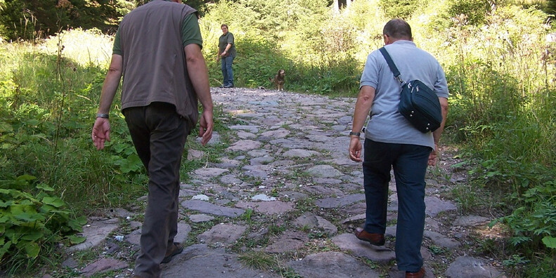 Il Sentiero della Memoria – The Memory Route #4 | © Foto Archivio Apt Val di Fiemme