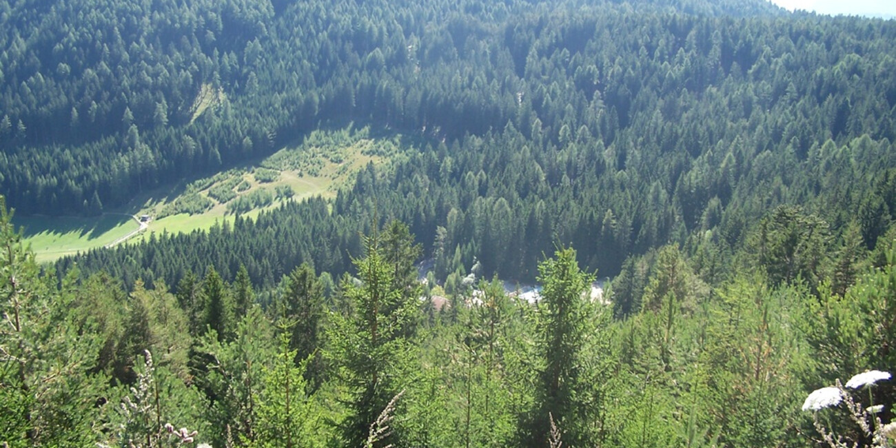 Gedächtnispfad #6 | © Foto Archivio Apt Val di Fiemme