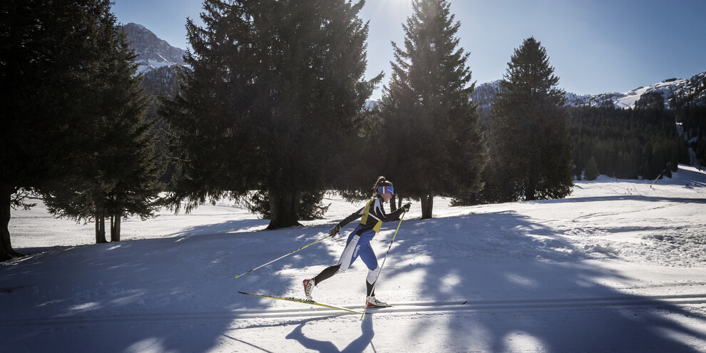 Cross-country skiing in the woods