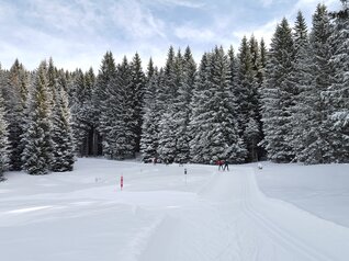 Centro Fondo Millegrobbe | © Foto SuperNordic Skipass