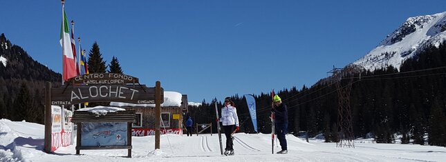Centro Fondo Moena - Passo San Pellegrino Alochet 