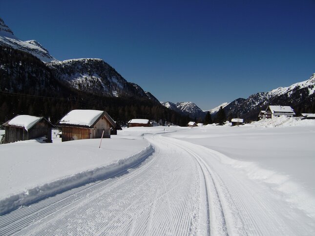 Centro Fondo Moena - Passo San Pellegrino Alochet 