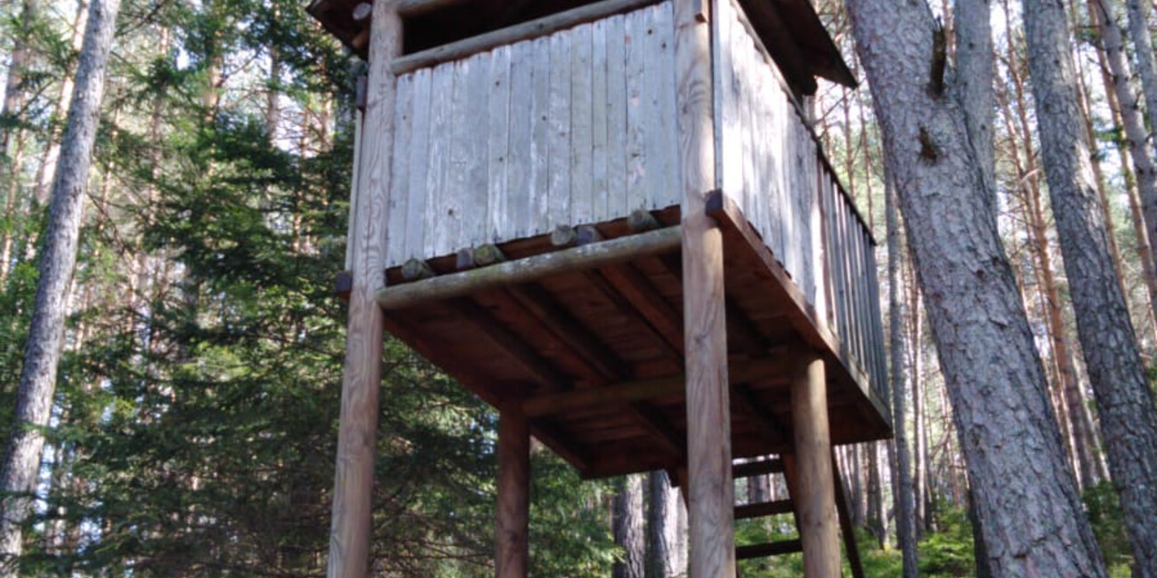 Biotop Laghestel #2 | © Foto Archivio Apt Pinè e Cembra