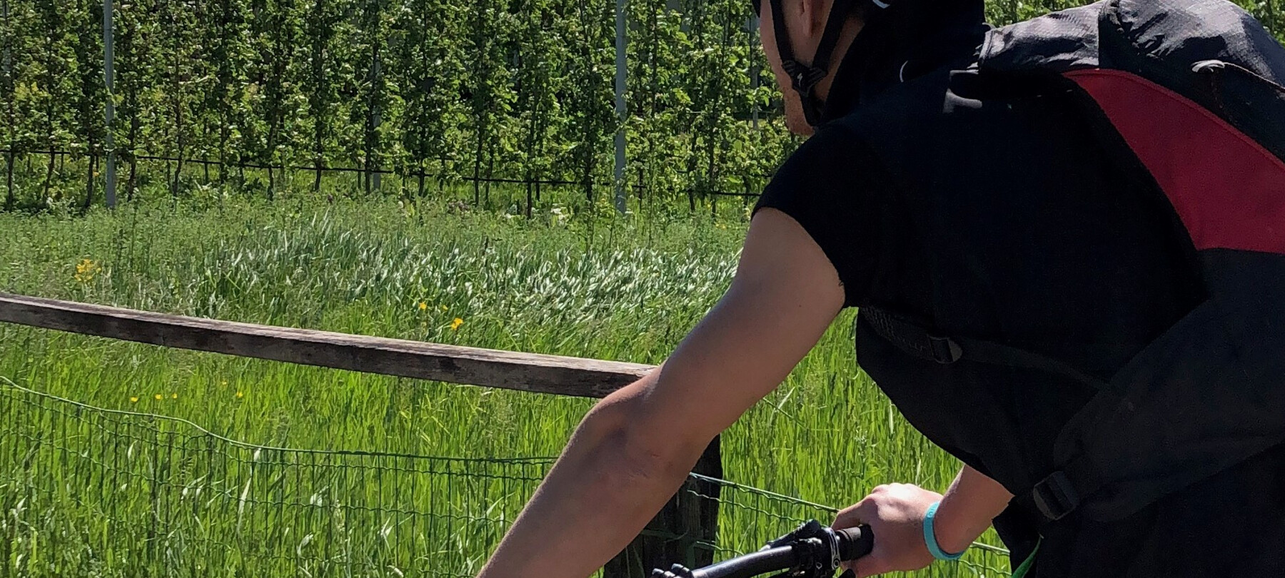 Un percorso facile sulla ciclabile della Valsugana