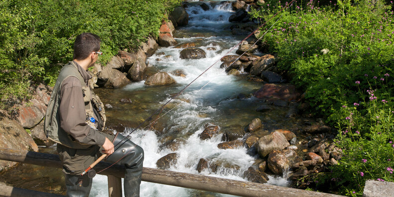 Val di Breguzzo   #1