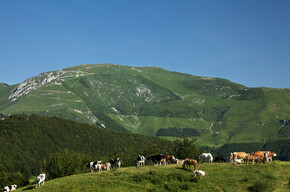 Riserve Bès Corna Piana 