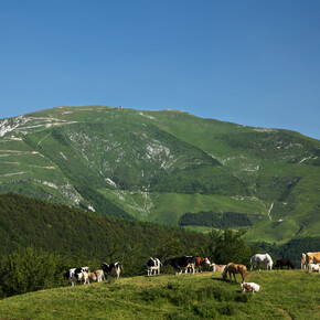 Riserve Bès Corna Piana 