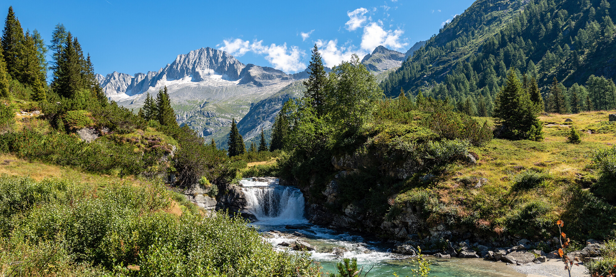 Al ritmo della natura 