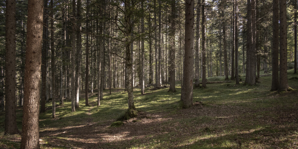SENTIERO DEL LARGA’ 