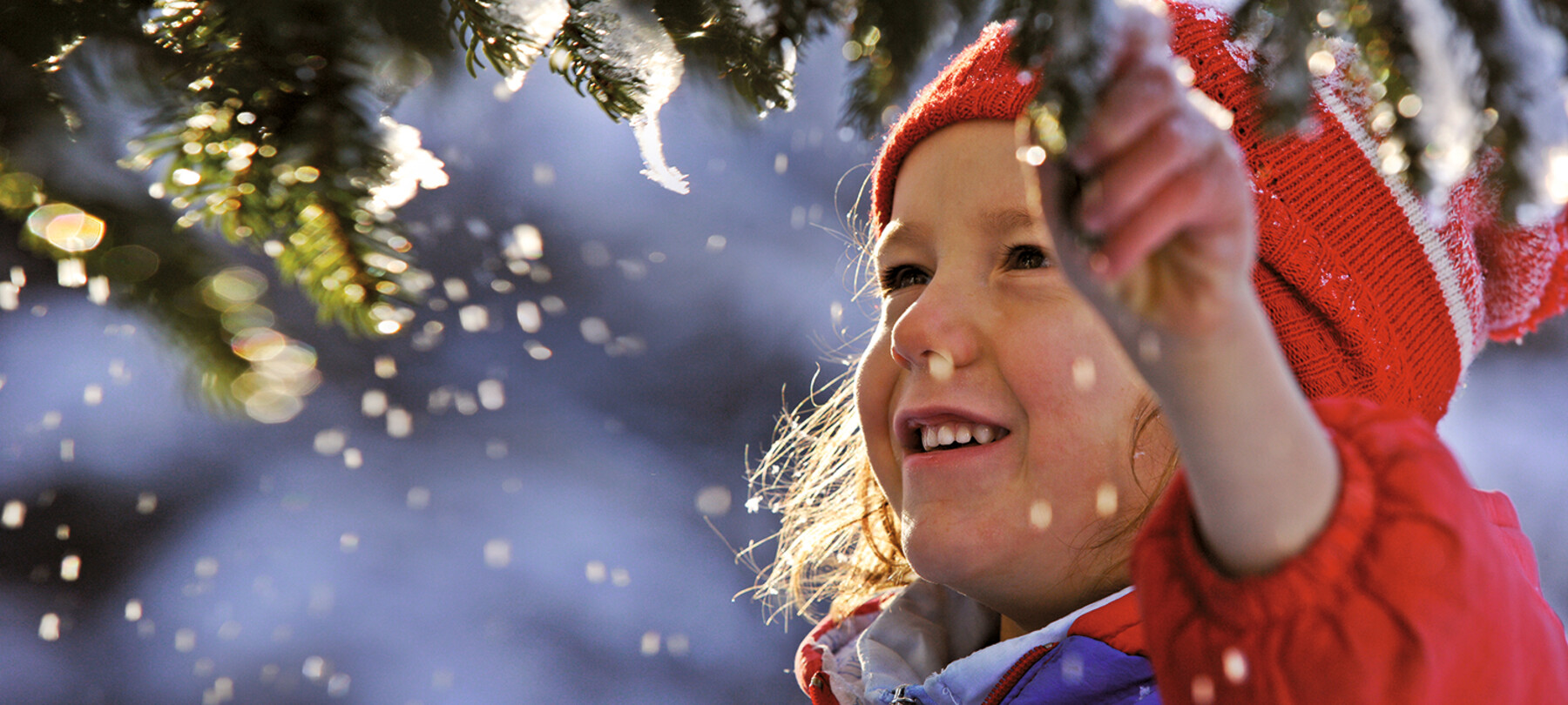 The magic of Christmas in Trentino