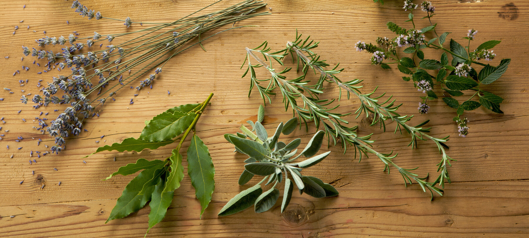 Darujte svým blízkým na Vánoce koš plný dobrot z Trentina