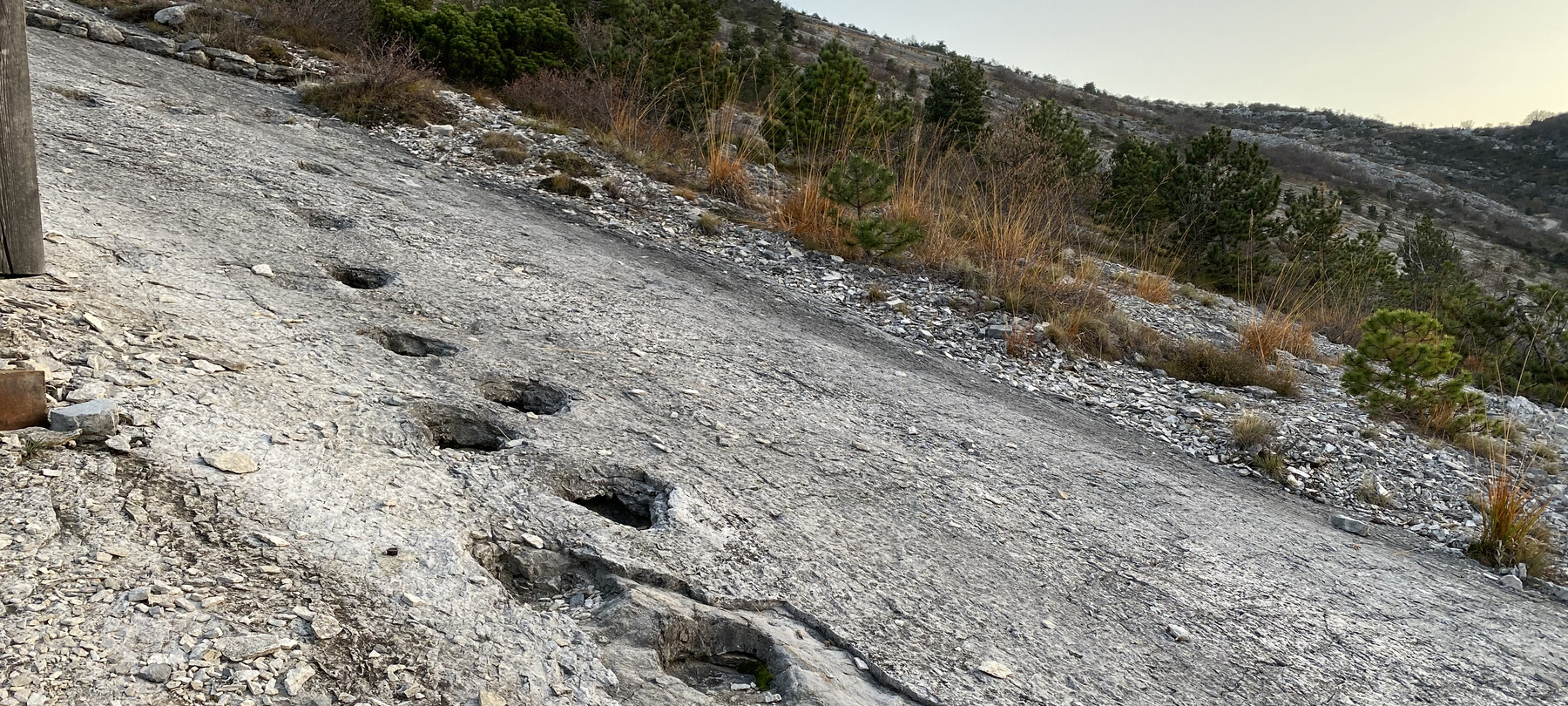 Le orme dei dinosauri a Rovereto