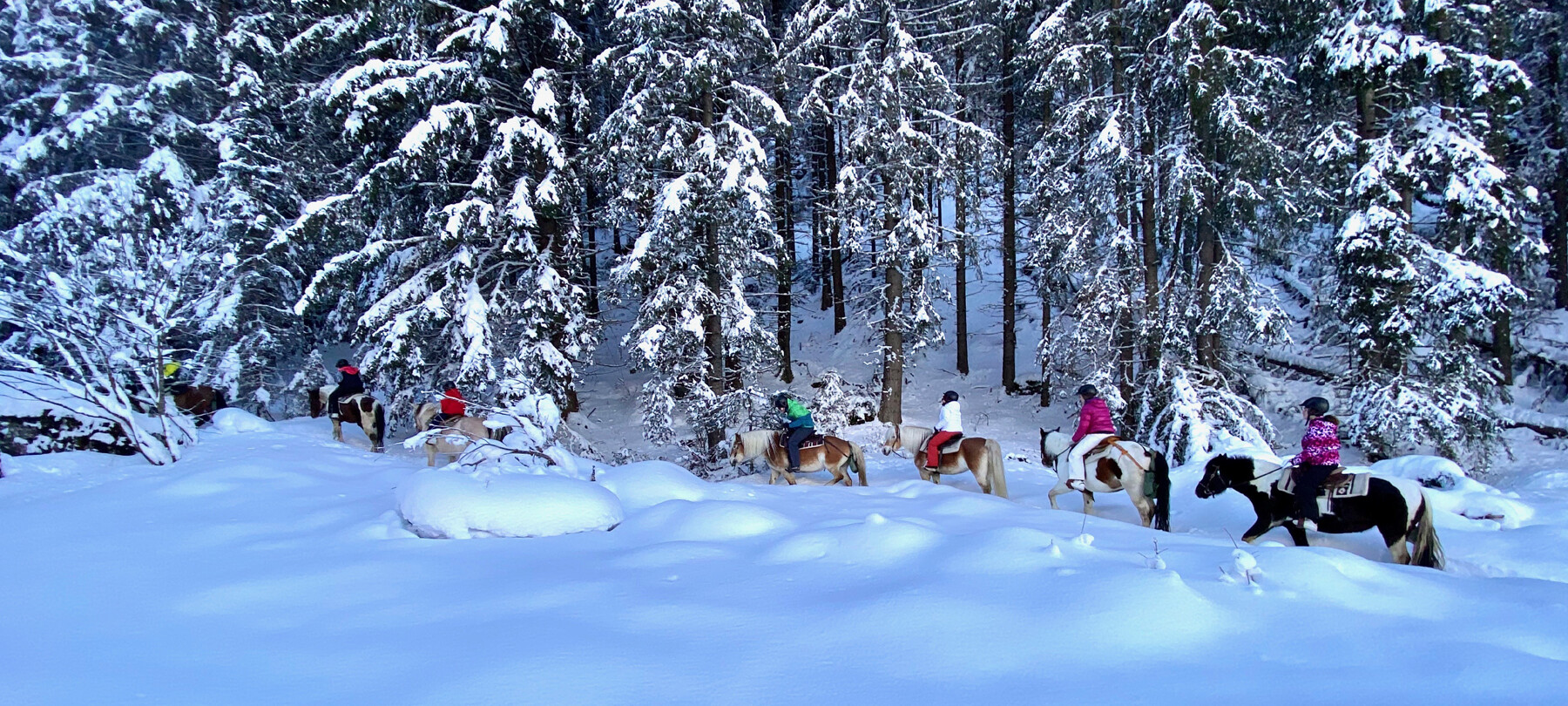 Horseback riding tours