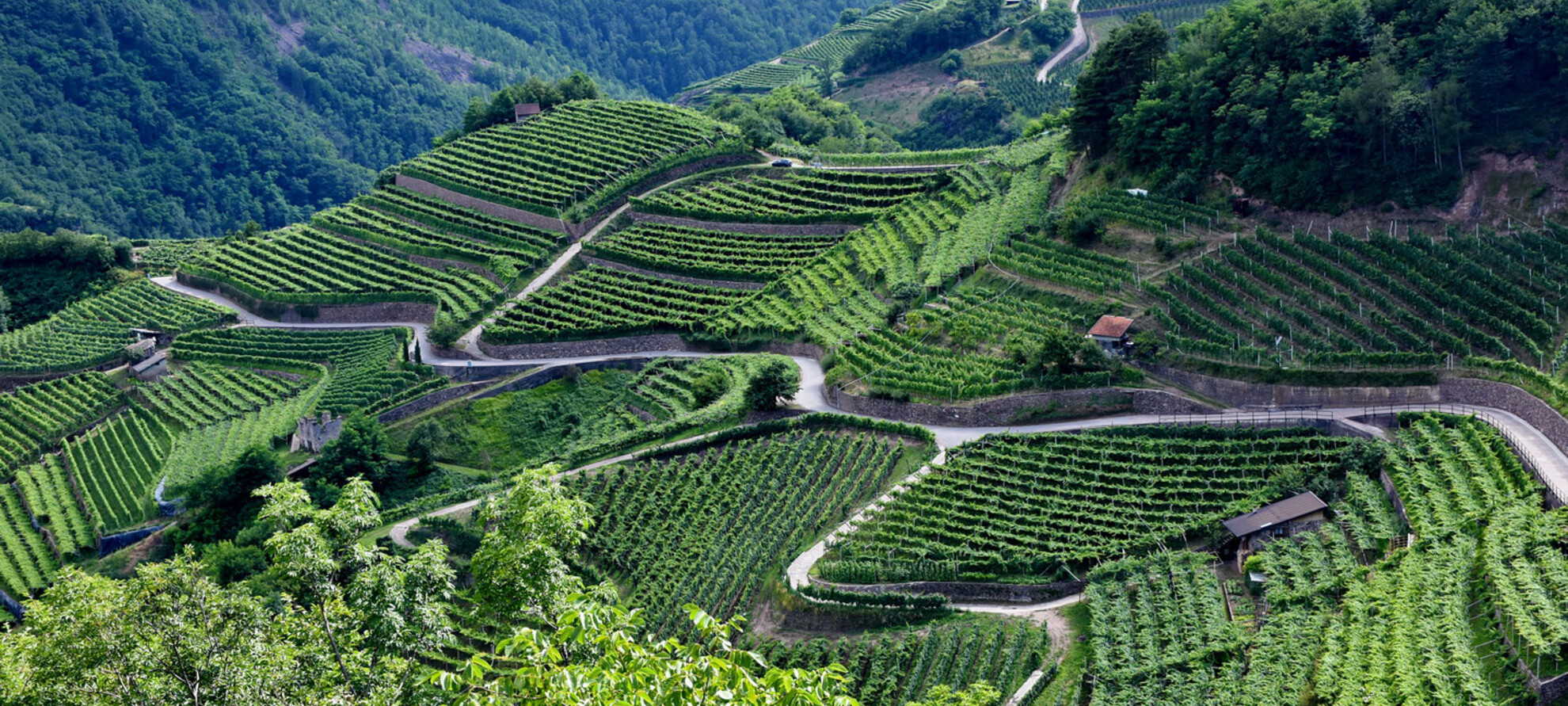 Itinerari in Val di Cembra