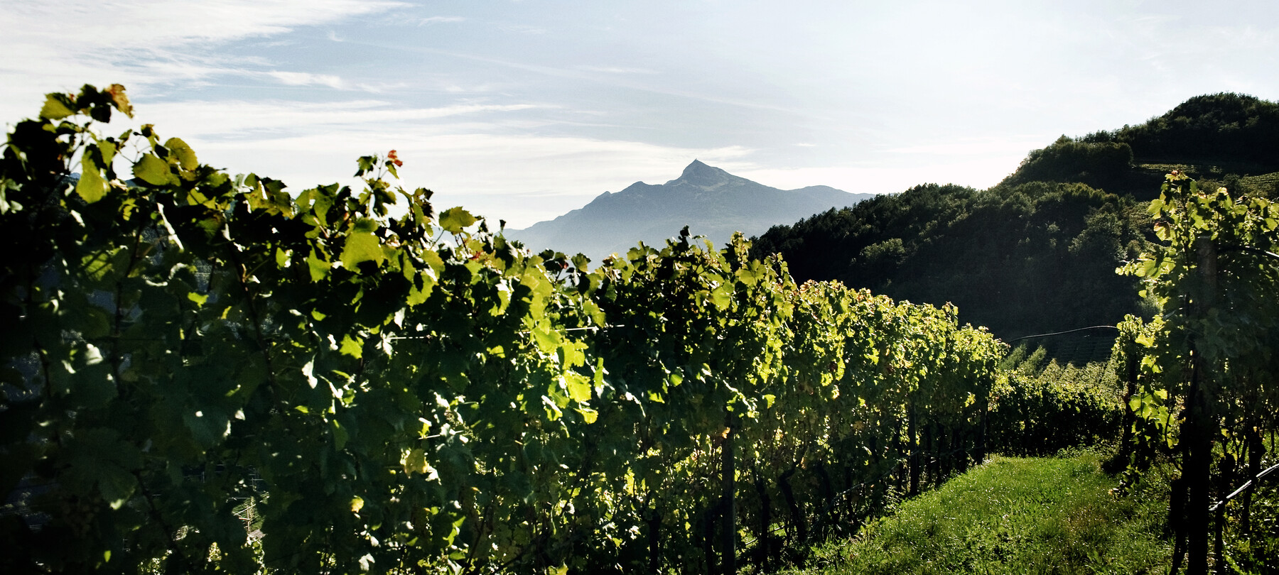 Francesco Moser: una storia di amore per la bicicletta e per il Trentino