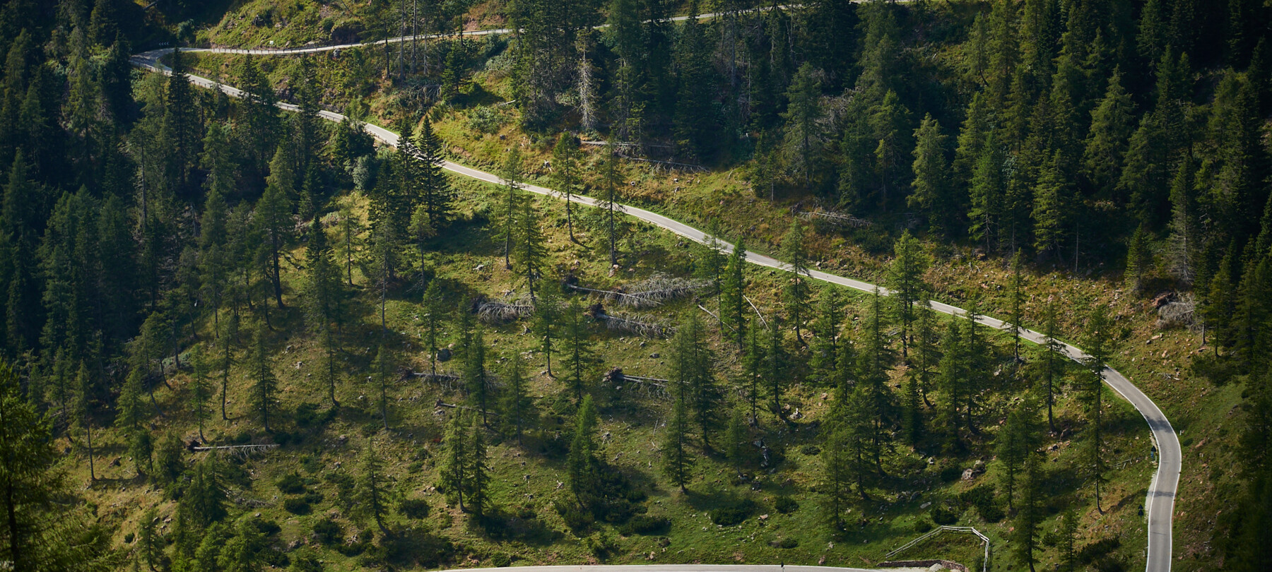The legendary uphill climbs of Trentino, routes that made cycling history