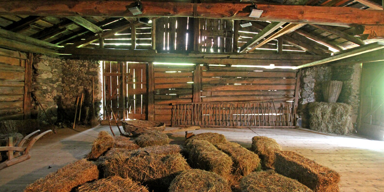 Filzerhof #3 | © Filzerhof