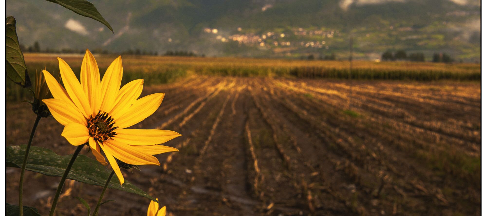 Coltivare e custodire 