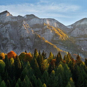 Scattered signs of rural activity among meadows and woods - Route 2269 | © APT San Martino di Castrozza, Primiero e Vanoi